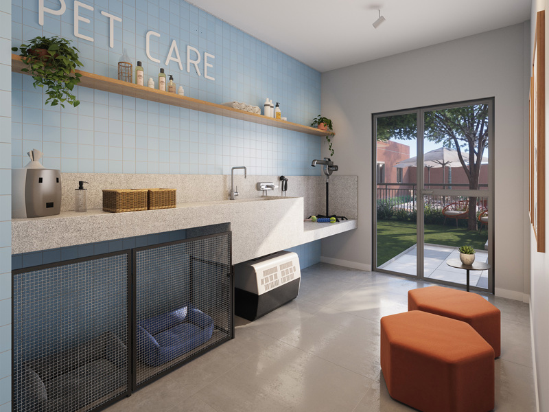 Perspectiva Ilustrada Do Pet Care