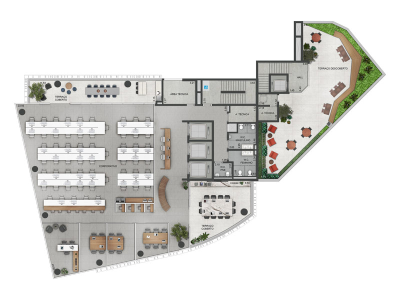Ilustração da planta - Planta ilustrada 